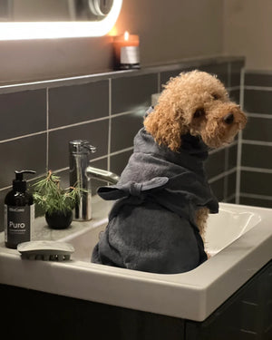 BAGNO DOG BATHROBE | חלוק רחצה לכלב