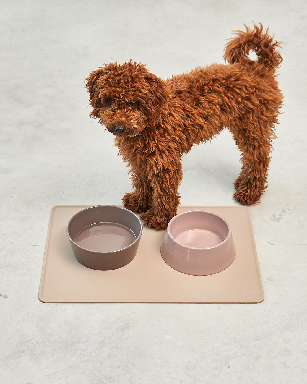 DOPPIO DOG BOWLS SET | סט קערות לכלב