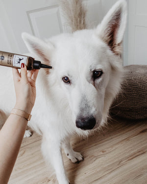 EAR CLEANSER |  תכשיר ניקוי אוזניים לכלב