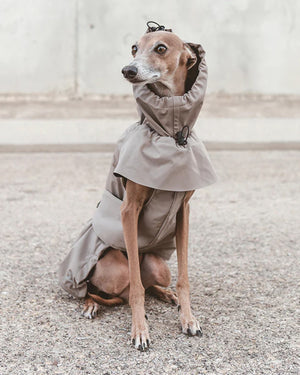 VALENTINA DOG RAINCOAT | מעיל גשם ורוח לכלב