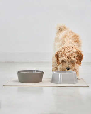 DOPPIO DOG BOWLS SET | סט קערות לכלב