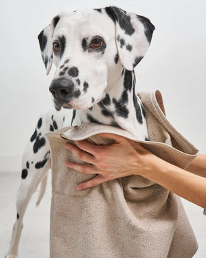 מגבת לכלב מכותנה אורגנית | SECCO DOG TOWELS