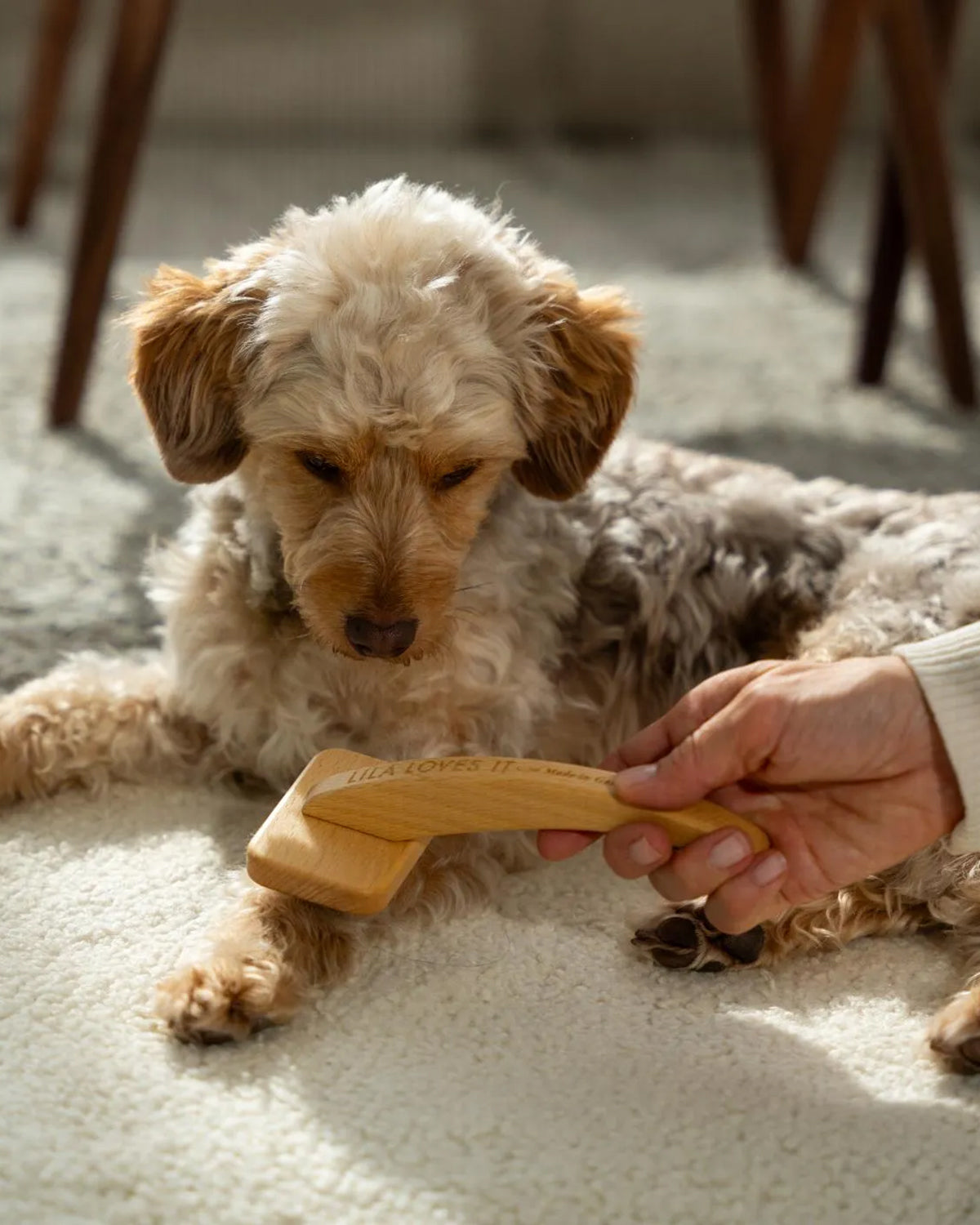 SLICKER DOG BRUSH | מברשת סליקר לכלב