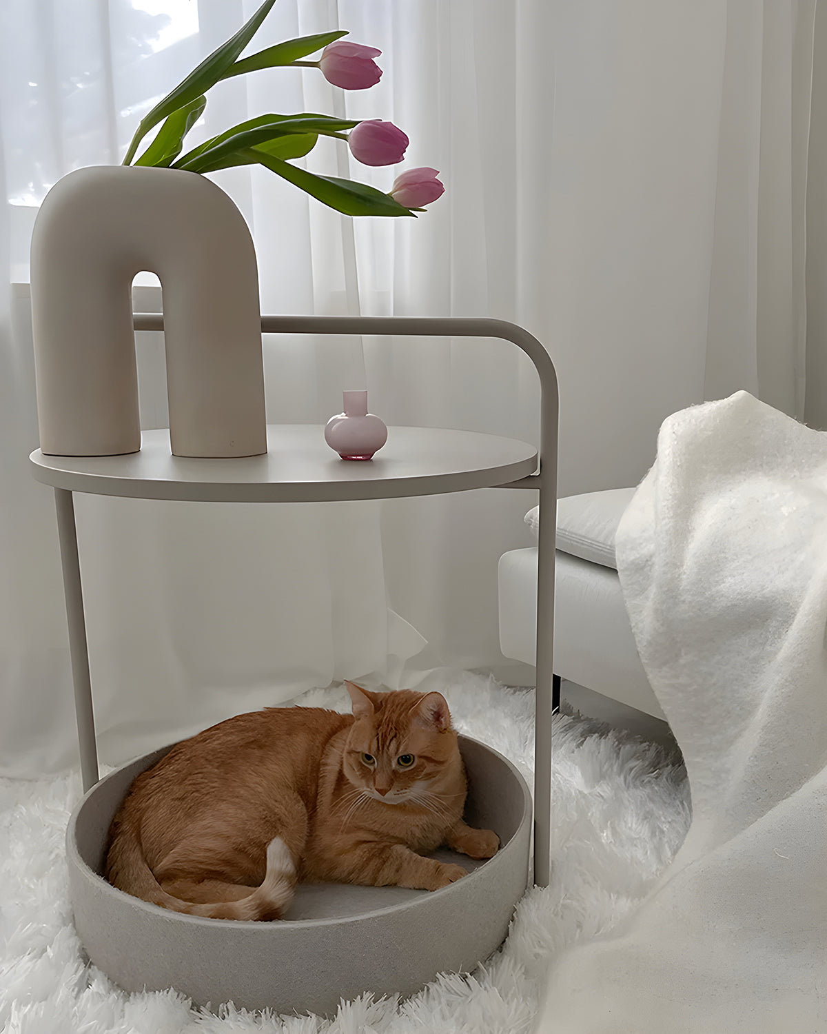 TAVOLINO CAT BED | שולחן קפה / מיטה לחתול