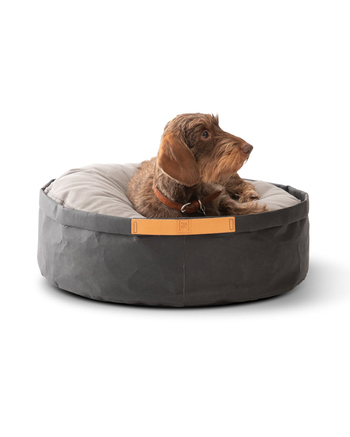 IRVING DOG BED | מיטה לכלב