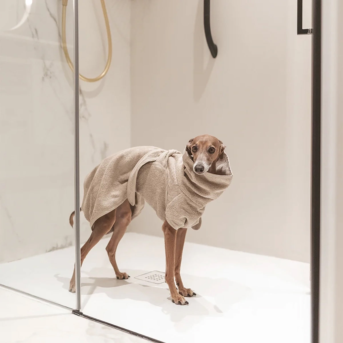 BAGNO DOG BATHROBE | חלוק רחצה לכלב