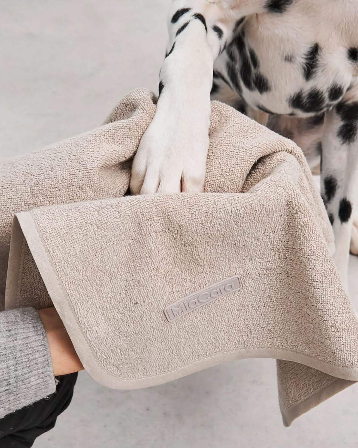 מגבת לכלב מכותנה אורגנית | SECCO DOG TOWELS