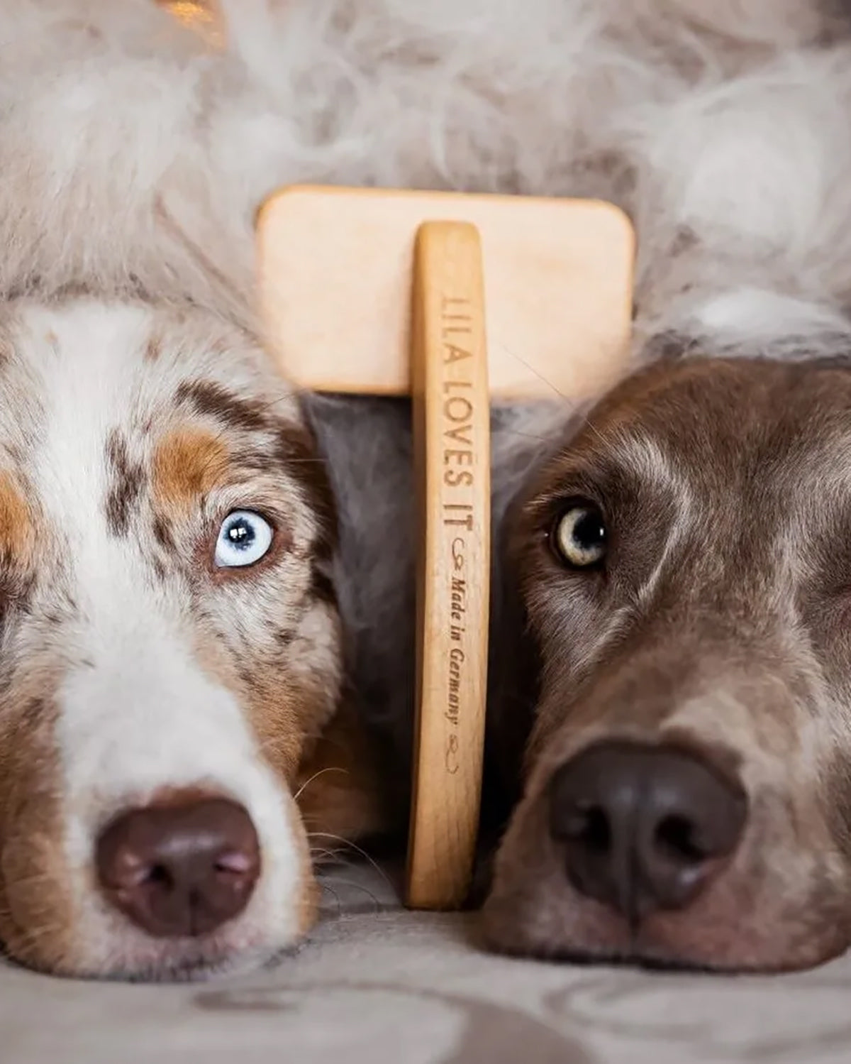 SLICKER DOG BRUSH | מברשת סליקר לכלב