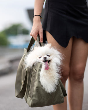 SUBWAY CARRIER BAG | תיק נשיאה לכלבים