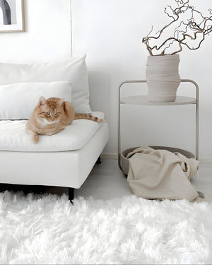 TAVOLINO CAT BED | שולחן קפה / מיטה לחתול