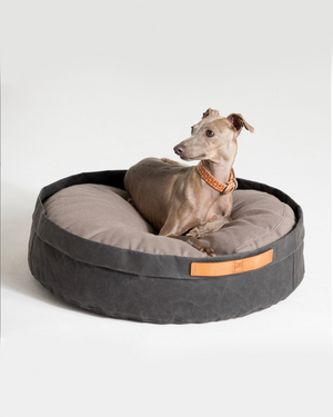 IRVING DOG BED | מיטה לכלב