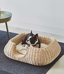 MIO DOG BED BASKET | מיטה לכלב