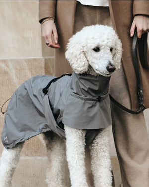 VALENTINA DOG RAINCOAT | מעיל גשם ורוח לכלב