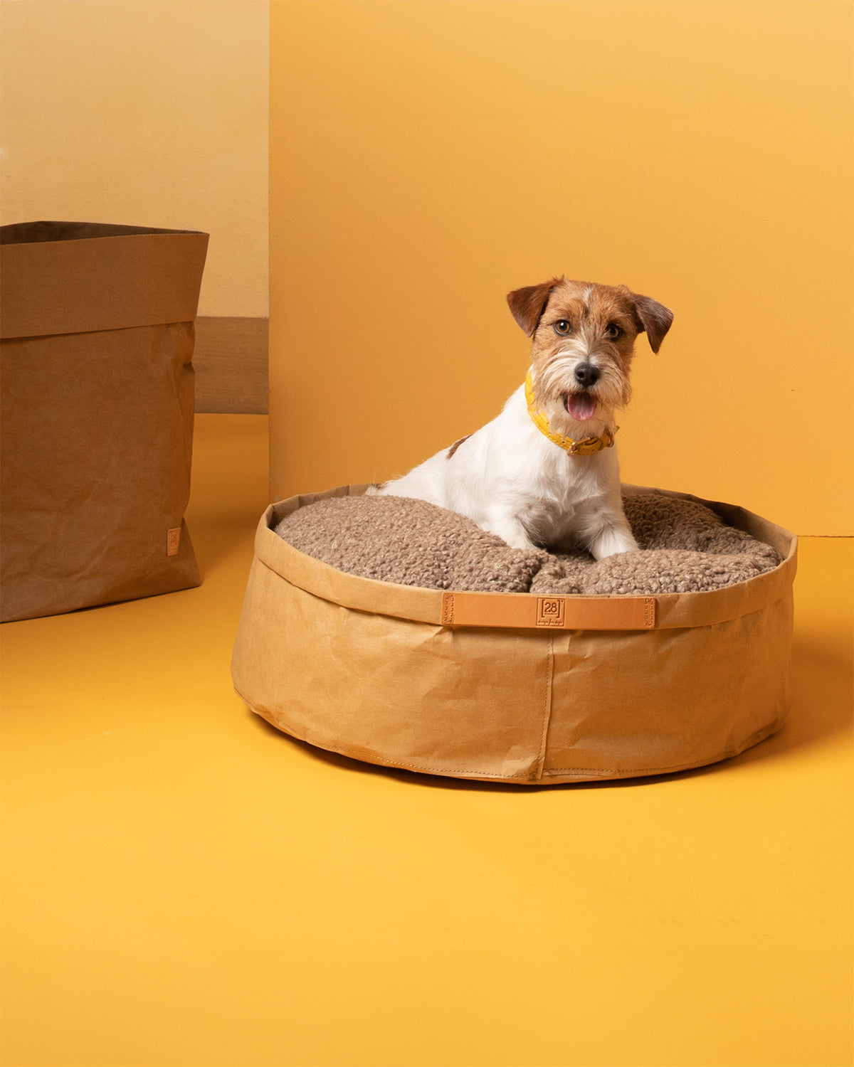 IRVING DOG BED | מיטה לכלב