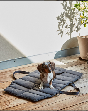 STRADA DOG TRAVEL MAT | מזרן טיולים מתקפל לכלב