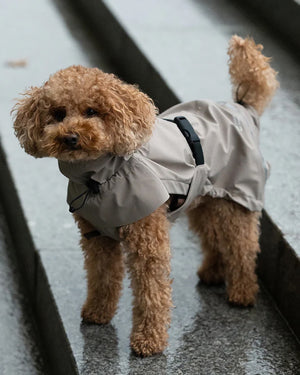 VALENTINA DOG RAINCOAT | מעיל גשם ורוח לכלב