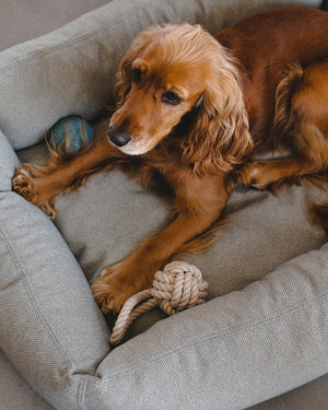 NODO DOG ROPE TOY |  חבל משחק לכלב