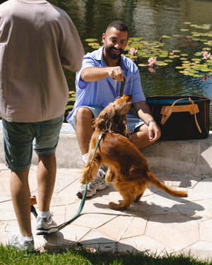 NODO DOG ROPE TOY |  חבל משחק לכלב