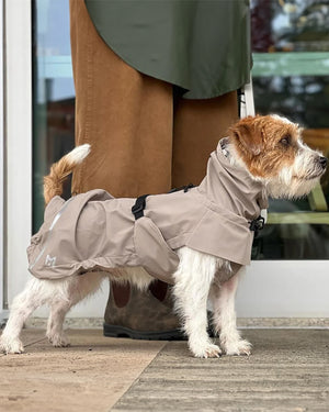 VALENTINA DOG RAINCOAT | מעיל גשם ורוח לכלב