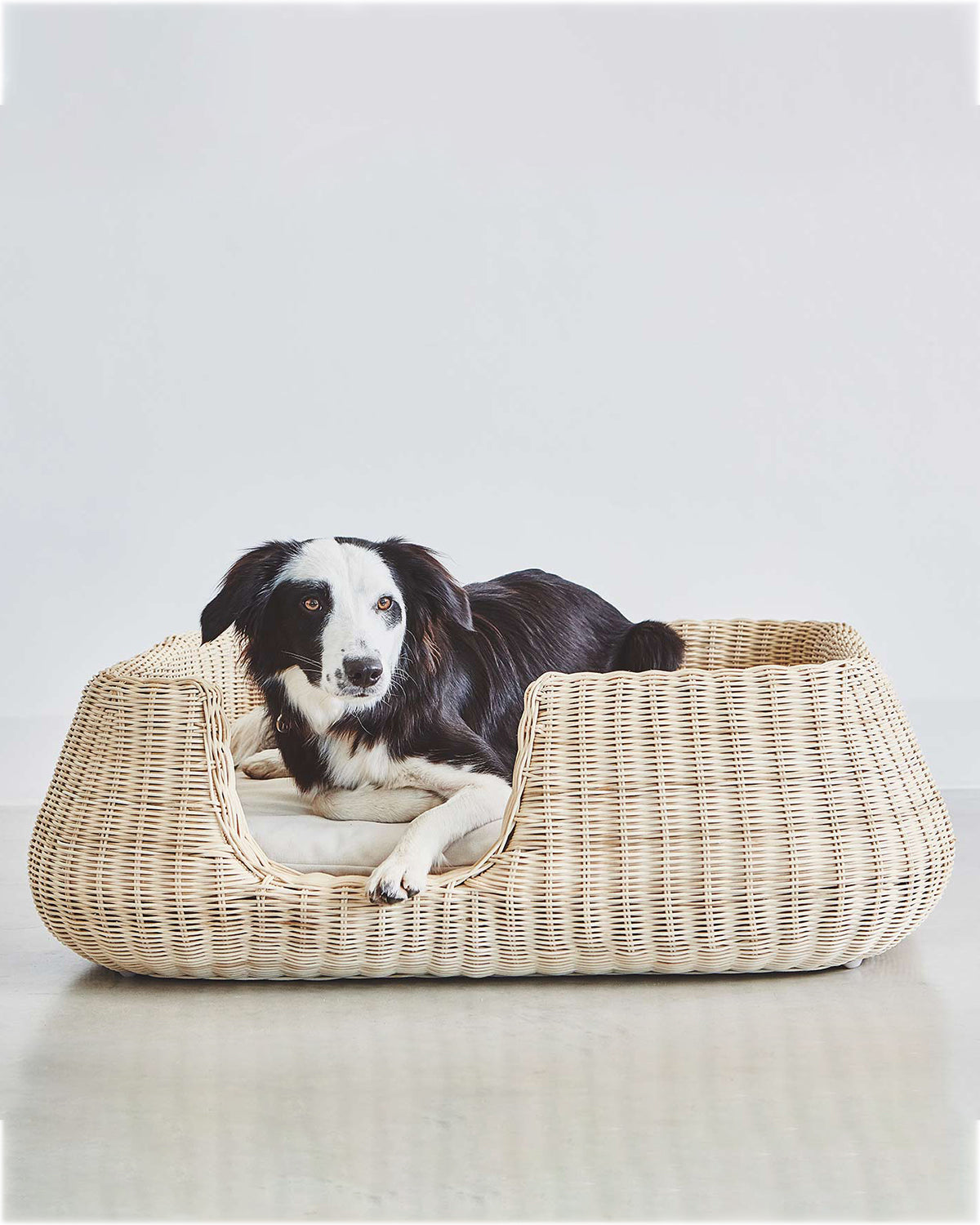 MIO DOG BED BASKET | מיטה לכלב