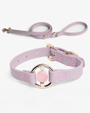 Crystal Walk Set For Dogs | סט רצועה וקולר משובץ אבן קריסטל