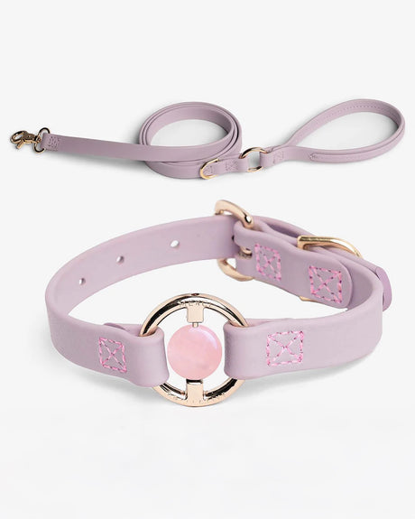Crystal Walk Set For Dogs | סט רצועה וקולר משובץ אבן קריסטל