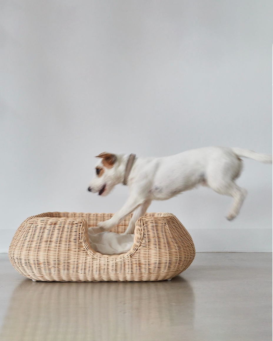 MIO DOG BED BASKET | מיטה לכלב