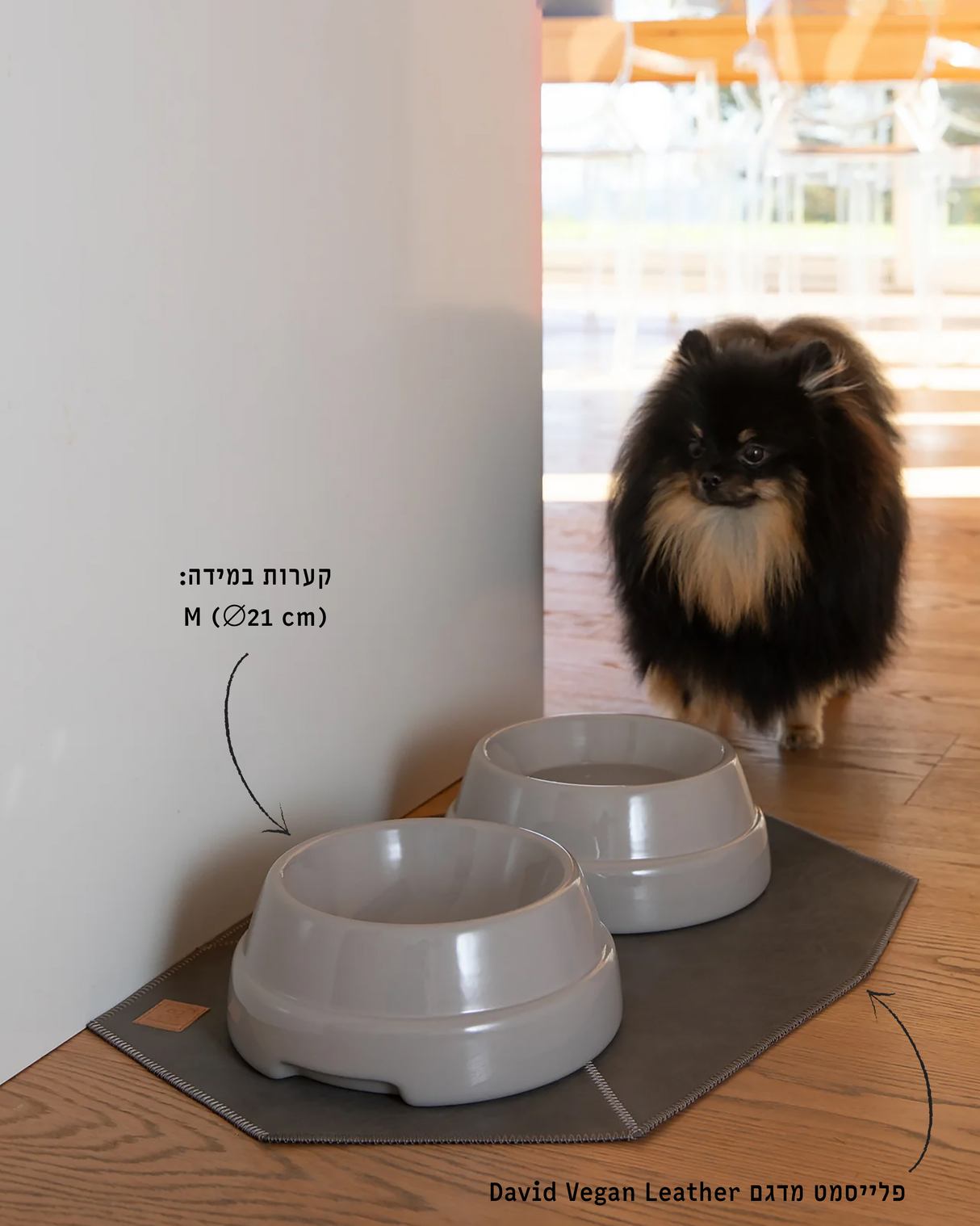 קערת קרמיקה איטלקית לכלבים ולחתולים | SEBASTIÃO DOG & CAT CERAMIC BOWLS