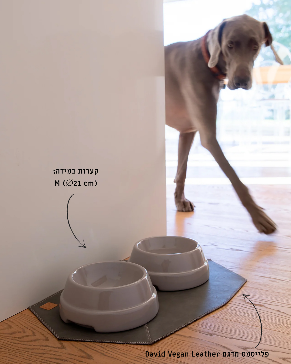 קערת קרמיקה איטלקית לכלבים ולחתולים | SEBASTIÃO DOG & CAT CERAMIC BOWLS