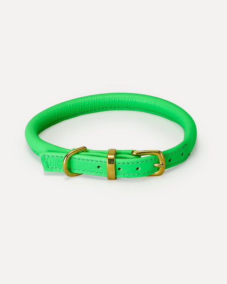 ROLLED SOFT LEATHER COLLAR | קולר עור לכלב