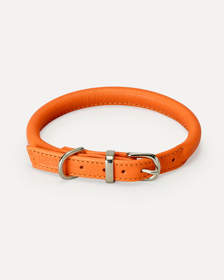 ROLLED SOFT LEATHER COLLAR | קולר עור לכלב