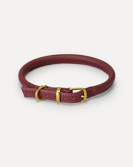 ROLLED SOFT LEATHER COLLAR | קולר עור לכלב