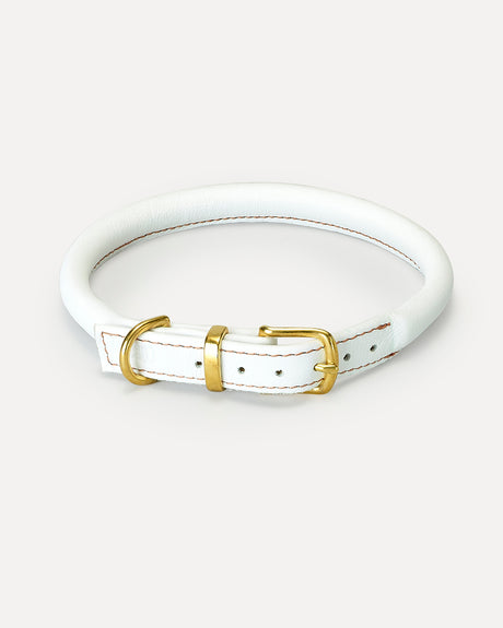 ROLLED SOFT LEATHER COLLAR | קולר עור לכלב