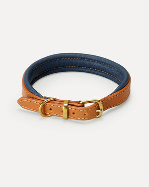 PADDED SOFT LEATHER COLLAR | קולר עור מרופד לכלב