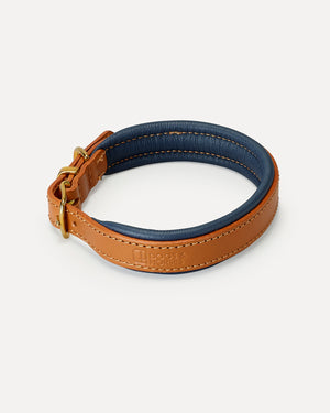 PADDED SOFT LEATHER COLLAR | קולר עור מרופד לכלב