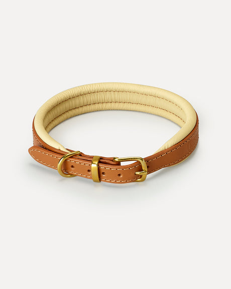 PADDED SOFT LEATHER COLLAR | קולר עור מרופד לכלב