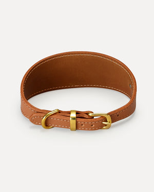 HOUND LEATHER COLLAR | קולר מעור לכלב