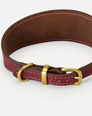 HOUND LEATHER COLLAR | קולר מעור לכלב