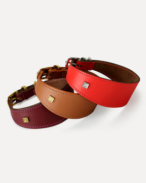 HOUND LEATHER COLLAR | קולר מעור לכלב