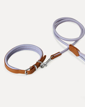 PADDED SOFT LEATHER COLLAR | קולר עור מרופד לכלב