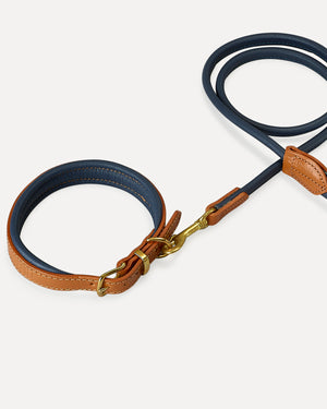 PADDED SOFT LEATHER COLLAR | קולר עור מרופד לכלב