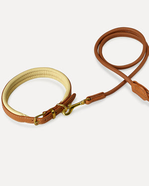 PADDED SOFT LEATHER COLLAR | קולר עור מרופד לכלב