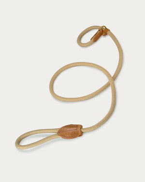 DOG SLIP LEAD |  רצועת אילוף משולבת קולר לכלב