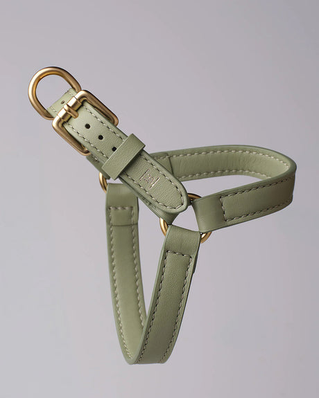 רתמה לכלב מעור נאפה איטלקי | MARIO NAPPA LEATHER DOG HARNESS