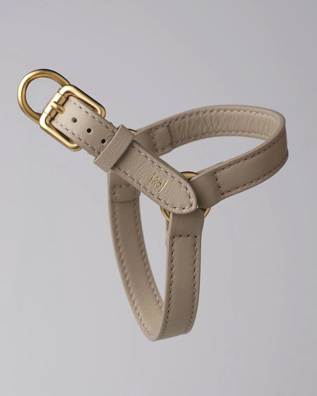 רתמה לכלב מעור נאפה איטלקי | MARIO NAPPA LEATHER DOG HARNESS