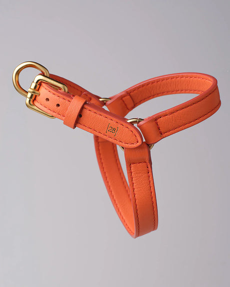 רתמה לכלב מעור נאפה איטלקי | MARIO NAPPA LEATHER DOG HARNESS