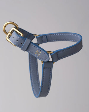 רתמה לכלב מעור נאפה איטלקי | MARIO NAPPA LEATHER DOG HARNESS
