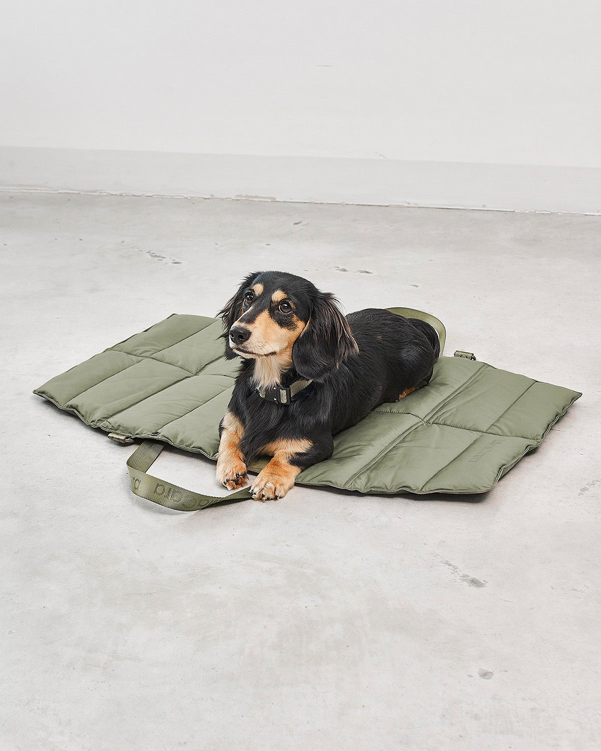 STRADA DOG TRAVEL MAT | מזרן טיולים מתקפל לכלב