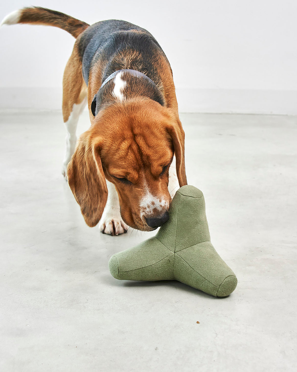QUATTRO DOG TOY | צעצוע גאומטרי סרוג לכלב