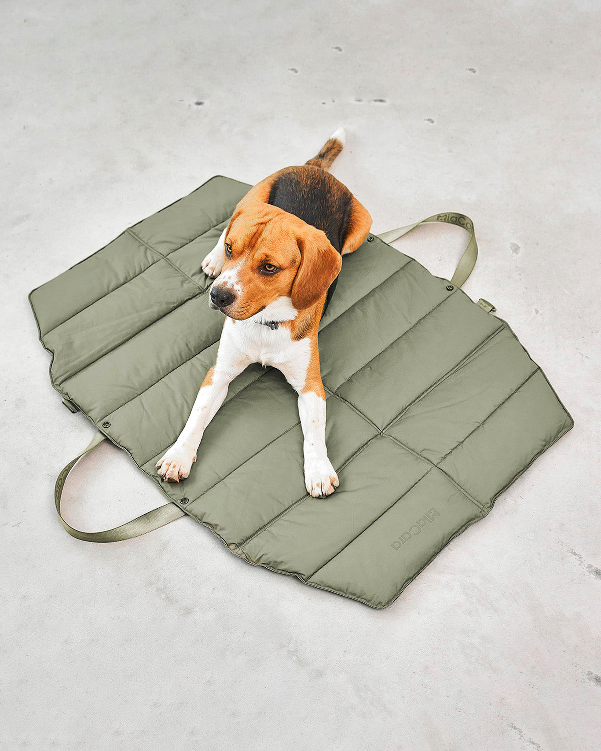 STRADA DOG TRAVEL MAT | מזרן טיולים מתקפל לכלב